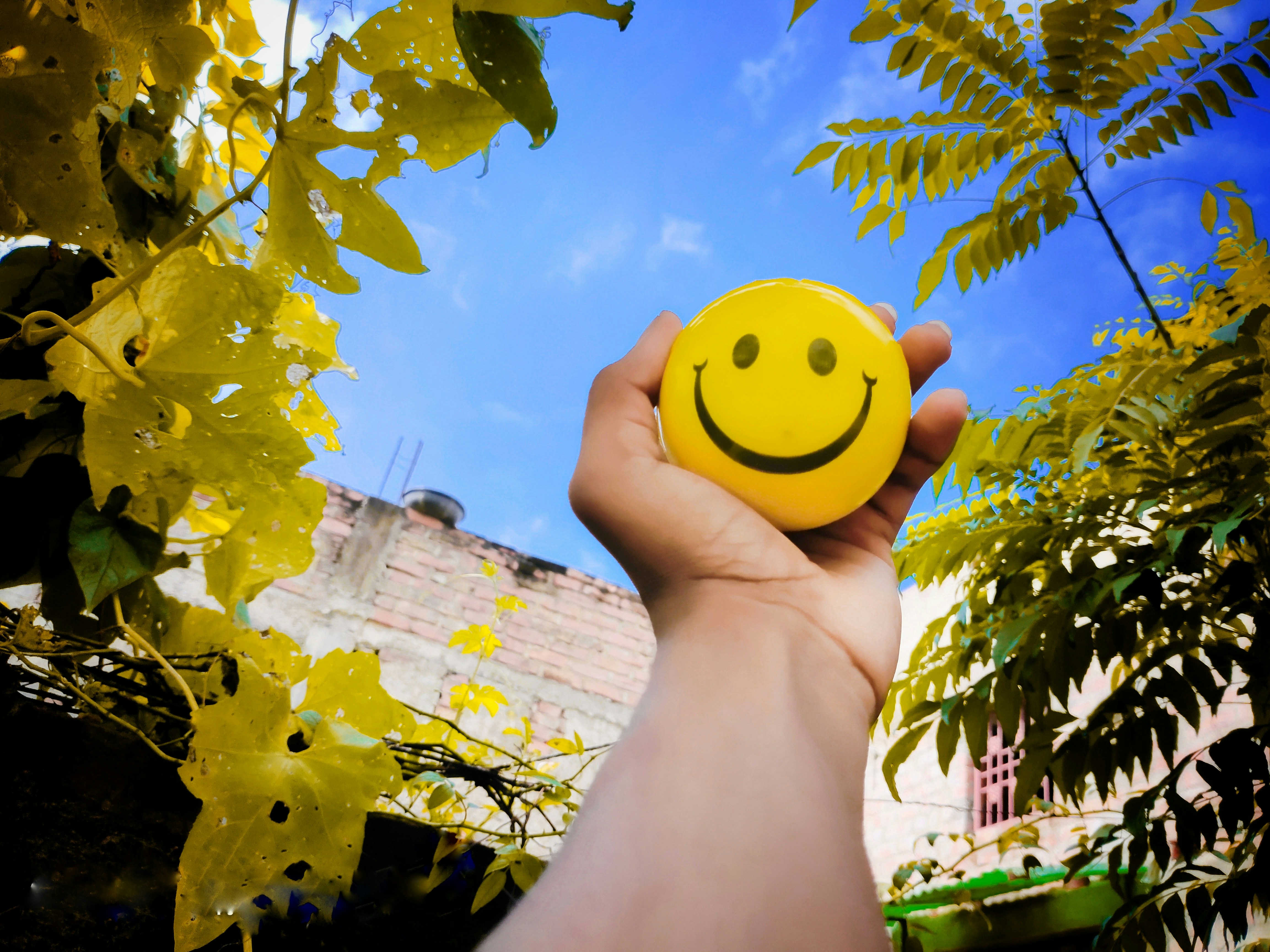 Philosophy of Happiness