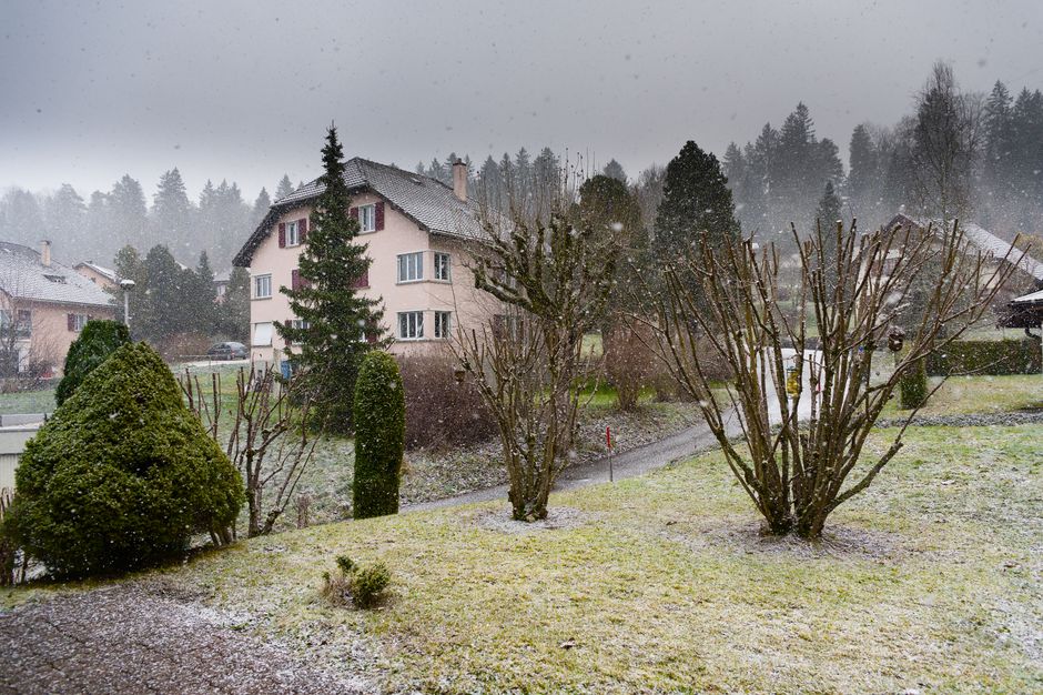 Weather & Seasons